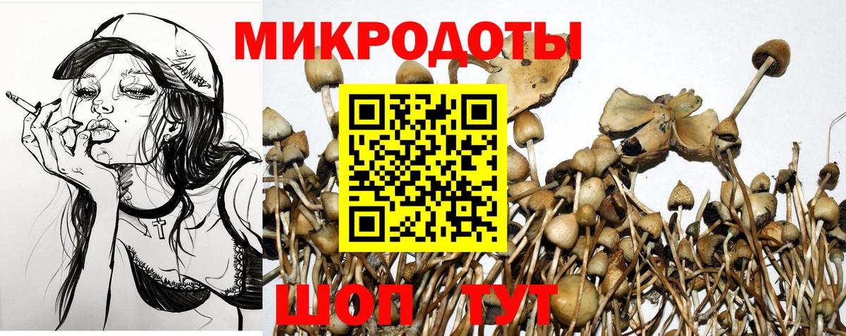 Галлюциногенные грибы Cubensis Железноводск