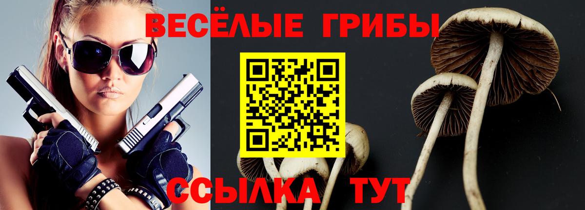 Псилоцибиновые грибы GOLDEN TEACHER  Вход с VPN  Железноводск 